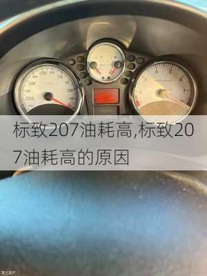 标致207油耗高,标致207油耗高的原因