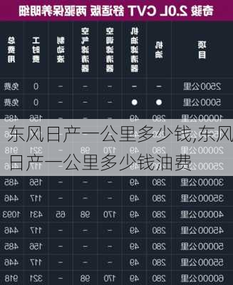 东风日产一公里多少钱,东风日产一公里多少钱油费